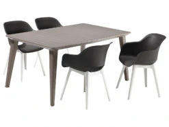 Keter Allibert Gartenmöbel Set »Akola-Lima«, Mit 4 Stühlen Und 1 Tisch, Witterungsbeständig -Garten- Und Terrassengeschäft 44202d1af164af1ec23cd0c050d04016