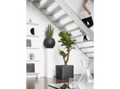 Capi Europe Blumentopf »Smooth«, Quadratisch, Schwarz, 30x30 Cm Oder 40x40 Cm -Garten- Und Terrassengeschäft 568de3bf506c9962ef00ff70a96e3fa9