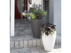 Scheurich Pflanzgefäß Wave Globe High -Garten- Und Terrassengeschäft 584ff59147723956e94c9c547783a487