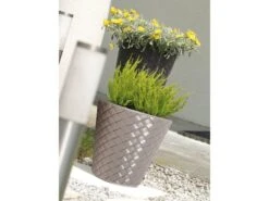 Prosperplast Blumentopf »Matuba«, Optik Bambusfaser, Ø 60 X H 59 Cm, Volumen 120 Liter -Garten- Und Terrassengeschäft 5cf023ba115ab76bf117dd7a0b8b4f04