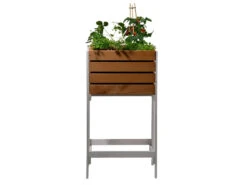 Dobar 2in1 Hochbeet-Obstkiste, B 49 X L 42 X H 90 Cm -Garten- Und Terrassengeschäft 780a9635451b7c4cfbbc5115d5898a7b