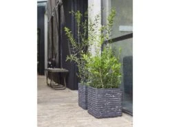 Capi Europe Blumentopf »Row«, Quadratisch, Anthrazit, Elfenbein, 30x30 Cm Oder 40x40 Cm -Garten- Und Terrassengeschäft 79efdf07d2f4c2de05e780ccfca3408a