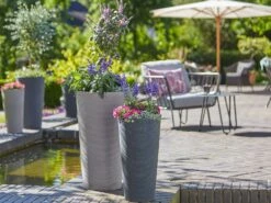 Scheurich Pflanzgefäß »Coneo High« -Garten- Und Terrassengeschäft 7c17cc0944bc046230338b89156cc0de