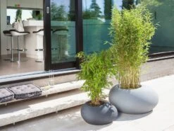 Scheurich Pflanzgefäß Flow -Garten- Und Terrassengeschäft 7e31c7dc5cb0c2e64000a32db3a91faa