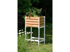 Dobar 2in1 Hochbeet-Obstkiste, B 49 X L 42 X H 90 Cm -Garten- Und Terrassengeschäft 8ac58a41d69676f630974734b0de60ad