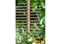 Dobar Große Rankhilfe In Blattform Fagus -Garten- Und Terrassengeschäft bdbd0331ca0979d5f9e91735bfd0512a