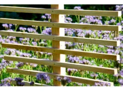 Dobar Große Rankhilfe In Blattform Fagus -Garten- Und Terrassengeschäft dd26f4c6277bad4b3d960cee12bbce62