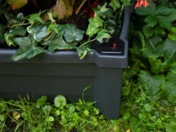 KHW Pflanzkasten »Calypso« Mit Bewässerungssystem, Rollen Und Spalier -Garten- Und Terrassengeschäft gcp0ad6daaddfa741eb93a26deaba598d20