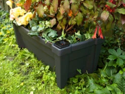 KHW Pflanzkasten »Calypso« Mit Bewässerungssystem, Rollen Und Spalier -Garten- Und Terrassengeschäft gcp11ed39eae0b748b3bb7737a6459c0309