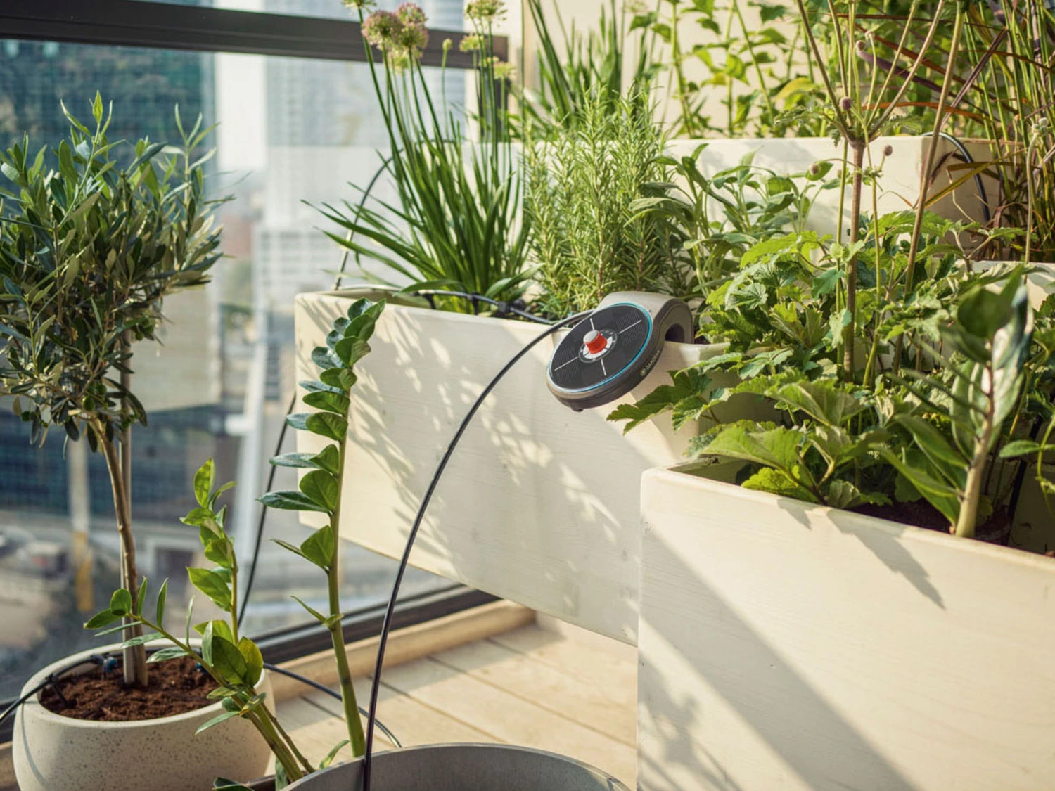 Gardena Solar-Bewässerungs-Set »AquaBloom«, Mit 14 Programmen 8 Gardena Solar-Bewässerungs-Set »AquaBloom«, Mit 14 Programmen – Bild 8