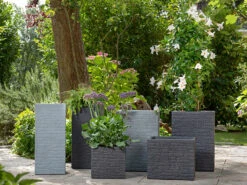 Scheurich Hochgefäß »Muretto«, Kunststoff, Quadratisch -Garten- Und Terrassengeschäft gcp289c4a2c229c43a5ae63b6754210a08a