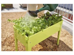 PARKSIDE® Mini-Hochbeet, Max. 20 L -Garten- Und Terrassengeschäft gcp2f1dad4def3844d2aa93c1210e236212