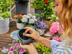 Gardena Solar-Bewässerungs-Set »AquaBloom«, Mit 14 Programmen 14 Gardena Solar-Bewässerungs-Set »AquaBloom«, Mit 14 Programmen -Garten- Und Terrassengeschäft gcp3916fd8571604ea1a93bfec7412d63ab