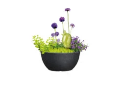 Scheurich Pflanzschale »Barceo Bowl«, Kunststoff, Ø 39 X H 18 Cm -Garten- Und Terrassengeschäft gcp4f76cca102294809bde8d9636660defb