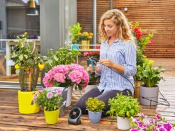 Gardena Solar-Bewässerungs-Set »AquaBloom«, Mit 14 Programmen 18 Gardena Solar-Bewässerungs-Set »AquaBloom«, Mit 14 Programmen -Garten- Und Terrassengeschäft gcp51c9047eaf1a4985b75045e2025c3c46