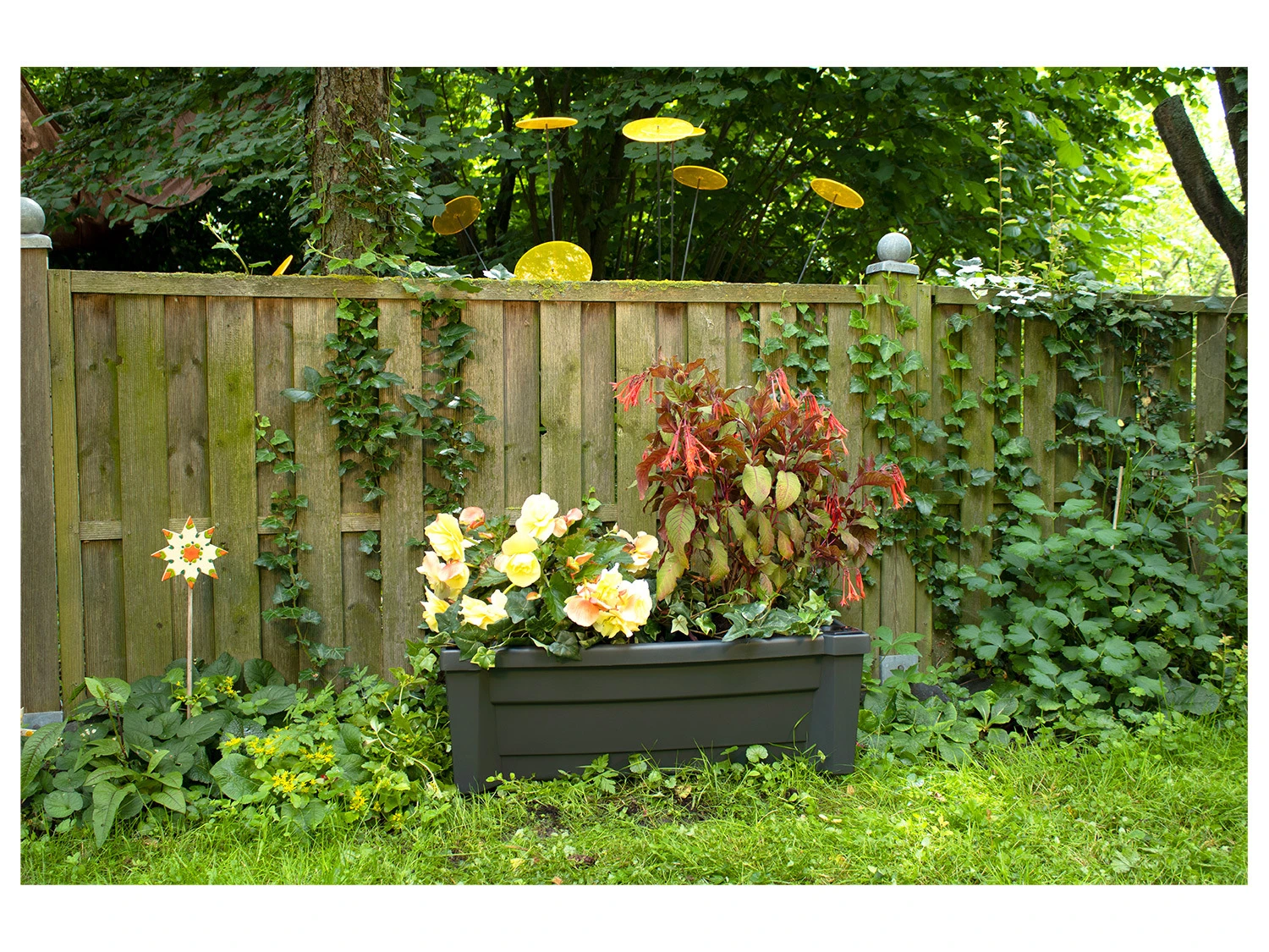 KHW Calypso Pflanzkasten Mit Bewässerungssystem, B 79 X T 35 X H 33 Cm 7 KHW Calypso Pflanzkasten Mit Bewässerungssystem, B 79 X T 35 X H 33 Cm – Bild 7