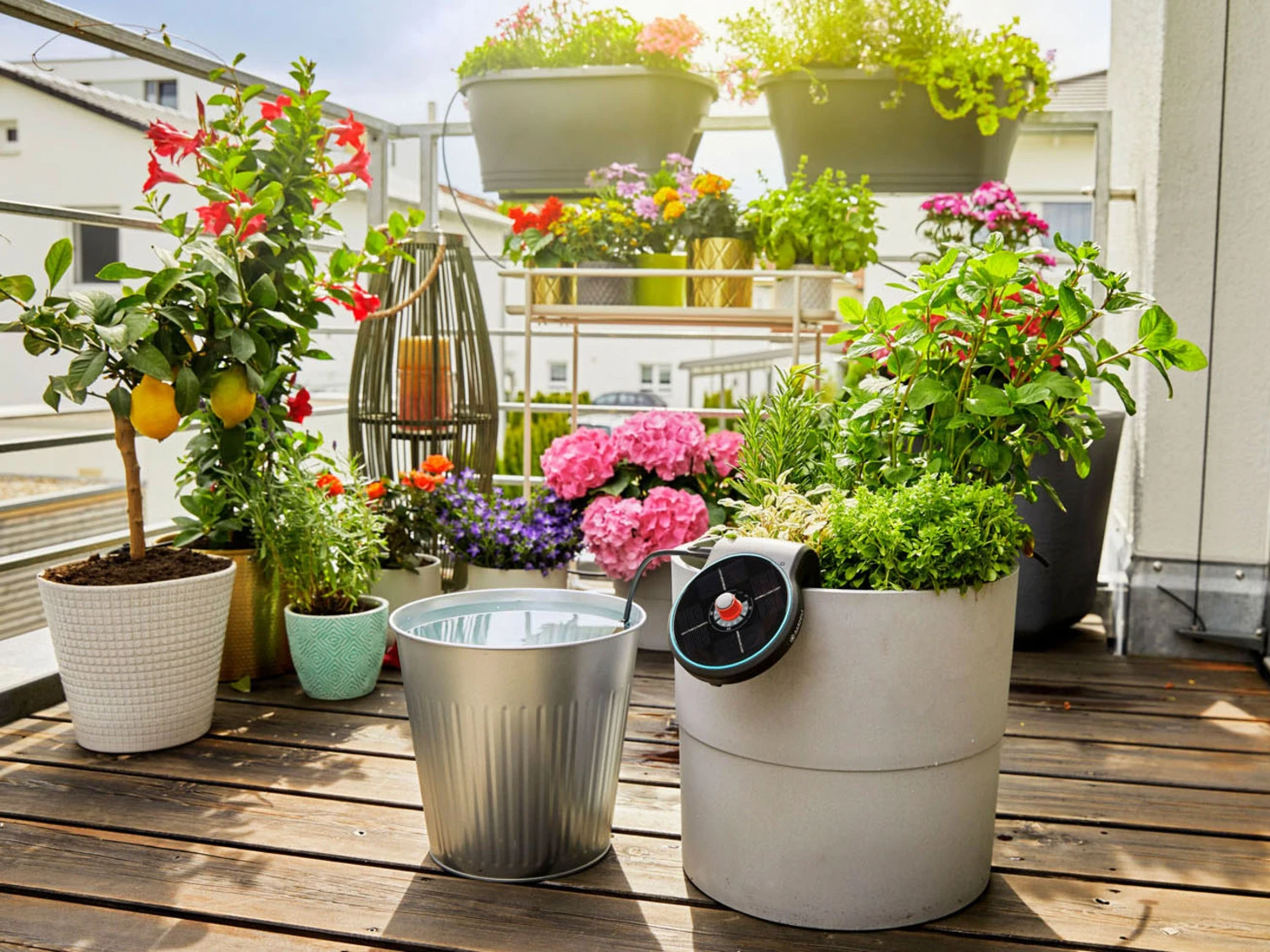 Gardena Solar-Bewässerungs-Set »AquaBloom«, Mit 14 Programmen 6 Gardena Solar-Bewässerungs-Set »AquaBloom«, Mit 14 Programmen – Bild 6