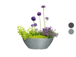 Scheurich Pflanzschale »Barceo Bowl«, Kunststoff, Ø 39 X H 18 Cm