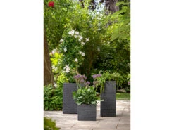 Scheurich Hochgefäß »Muretto«, Kunststoff, Quadratisch -Garten- Und Terrassengeschäft gcpfcc5f117946541aba1bfaea511045c08