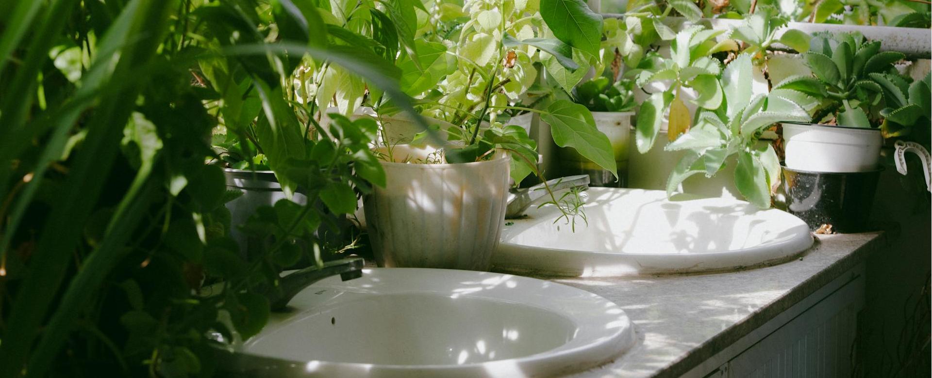 Garten- Und Terrassengeschäft -Garten- Und Terrassengeschäft pexels tien tran 1619847 29229179